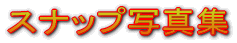 �X�i�b�v�ʐ^�W 
